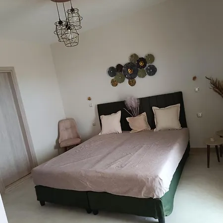 Apartment Vayal *